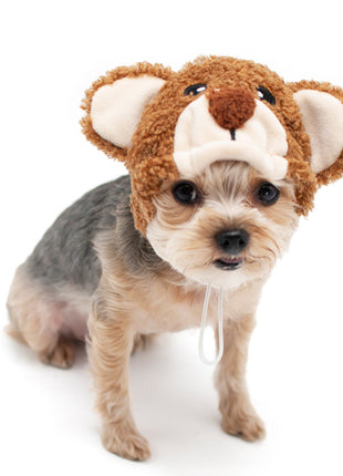 Teddy Bear Hat