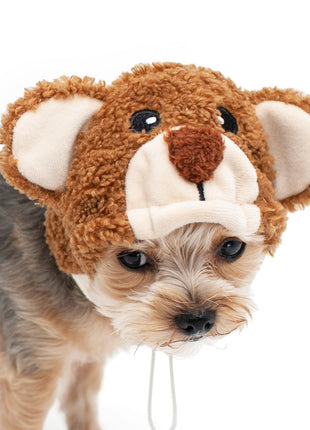 Teddy Bear Hat