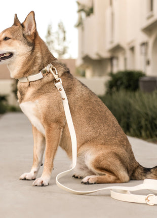 Elise Collar - Bone - Pup List