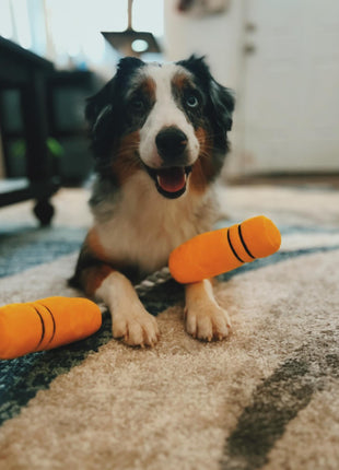 NUNCHUCKS TUG ROPE INTERACTIVE TOY