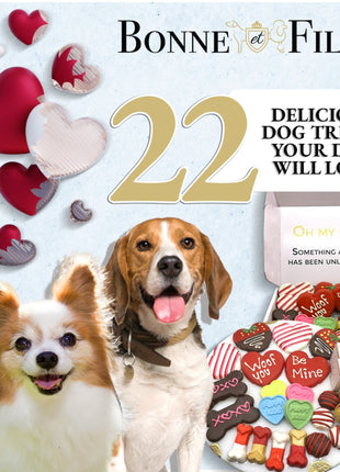 Love My Dog Themed Treats Box
