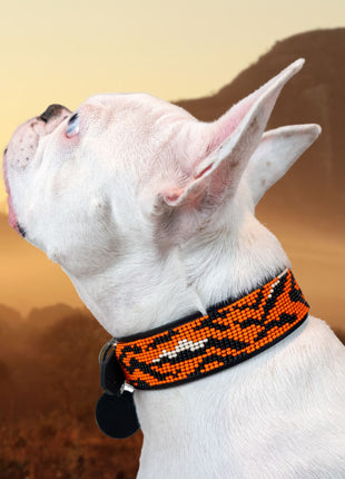Tiger Sambboho dog collar (animal print collection)