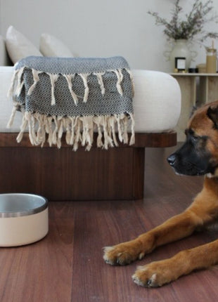 Tilley + Me Stainless Steel Pet Bowl – Non-Slip, Durable & Dishwasher Safe | 32oz and 64oz - Pup List