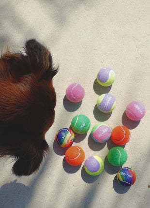 Tennis Ball for Dogs