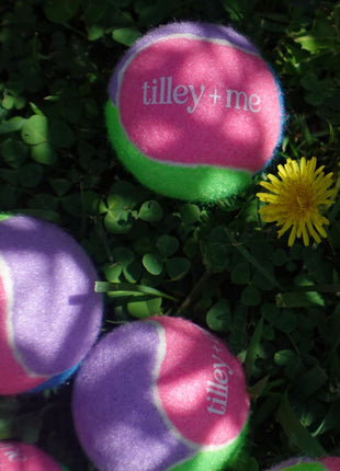 Tennis Ball for Dogs