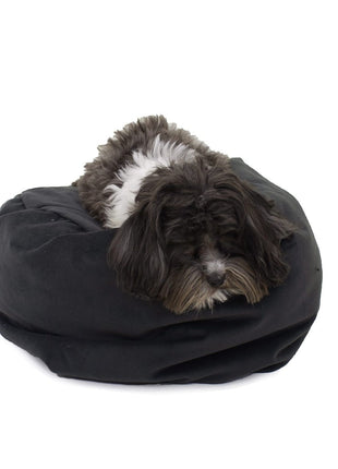 Transformer Converting Dog and Cat Bed