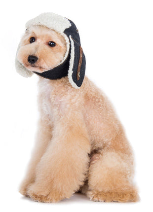 Trapper Hat