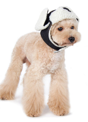 Trapper Hat