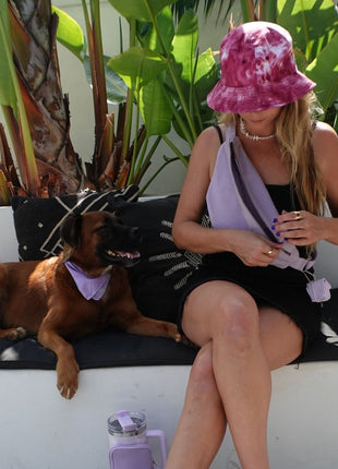 Compact Foldable Pet Food & Water Bowl – Ideal for Travel