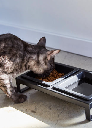 Pet Food Bowl - Steel + Ceramic