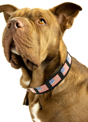 USA Sambboho dog collar