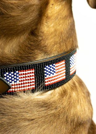 USA Sambboho dog collar