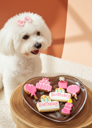 Birthday Girl Organic Dog Cookie Box