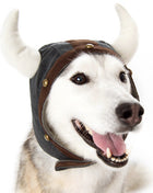 Viking Helmet Hat