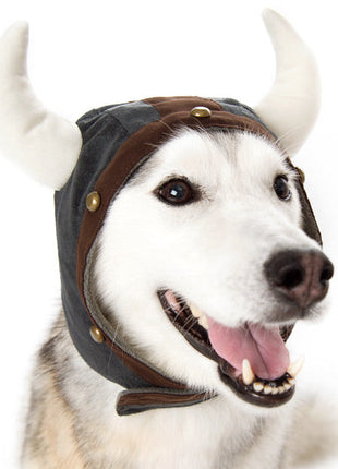 Viking Helmet Hat