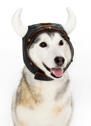 Viking Helmet Hat