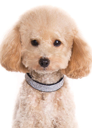 VIP Bling Collar