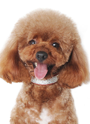 VIP Bling Collar