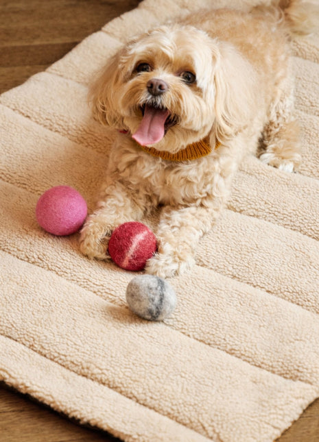 Nooee Pet Wool Toy Ball Set (5CM)