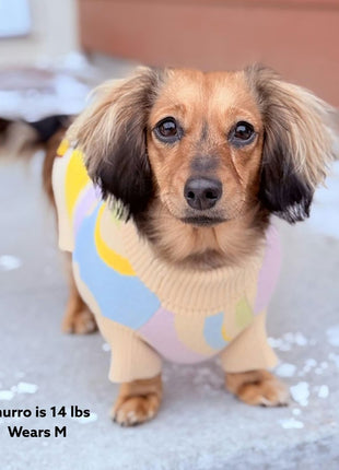 Wavy Knitted Dog Sweater - Pup List