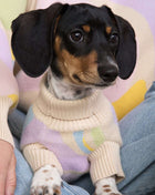 Wavy Knitted Dog Sweater