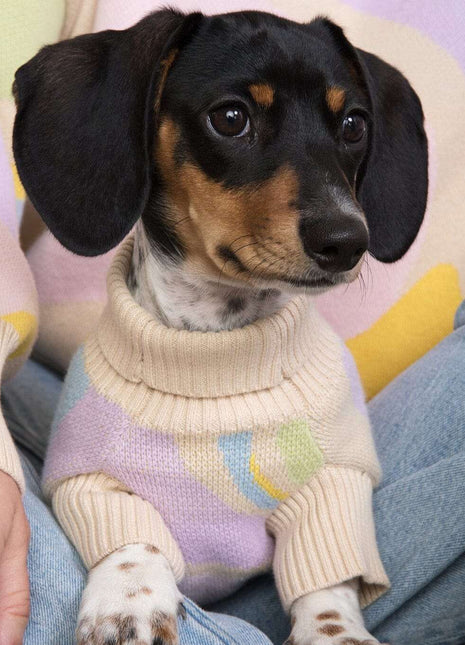 Wavy Knitted Dog Sweater