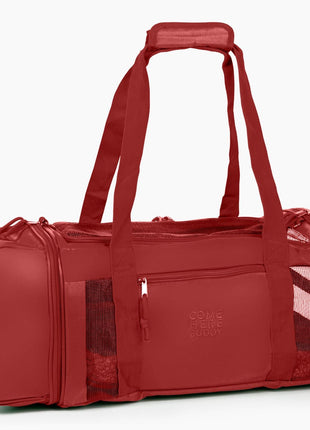 Travel Buddy - Pet Carrier