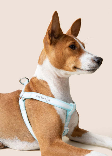 Cloud Nine Waterproof Step-in Harness