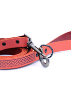 Celtic Sport Leather Collar and Leash Set