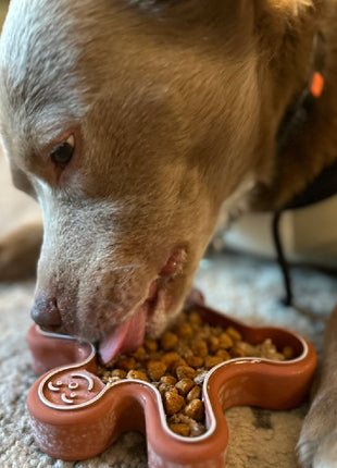 FreezGingerbread - Enrichment Chew Toy