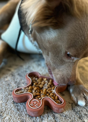 FreezGingerbread - Enrichment Chew Toy