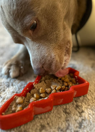 FreezTree - Mental Stimulation Chew Toy