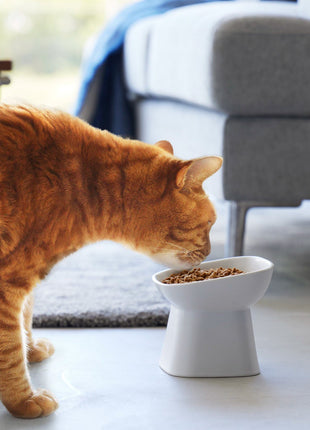 Tilted Pet Food Bowl