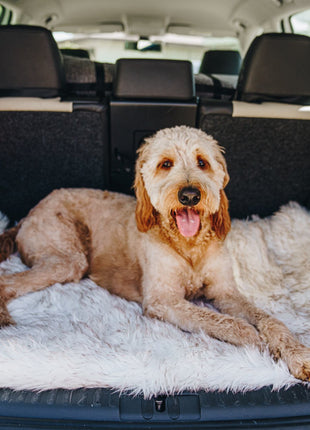 PupRug by Paw.com® Portable Orthopedic Dog Bed - White with Brown Accents