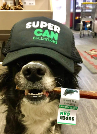 6" Mega Monster Bully Sticks | Premium Quality - Pup List