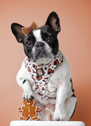 Oh Snap! Adjustable Harness - Pup List