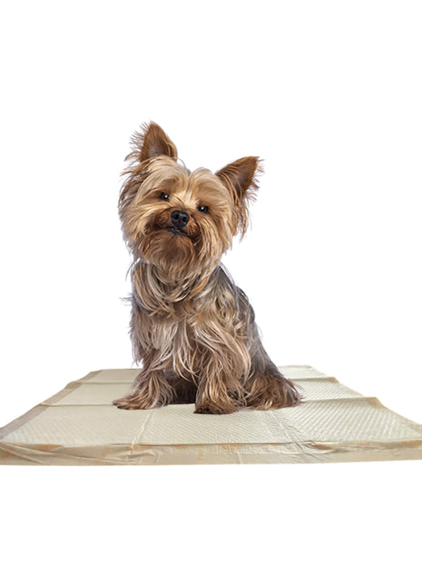 WizSmart Essentials Large Dog Training Pads for Puppies