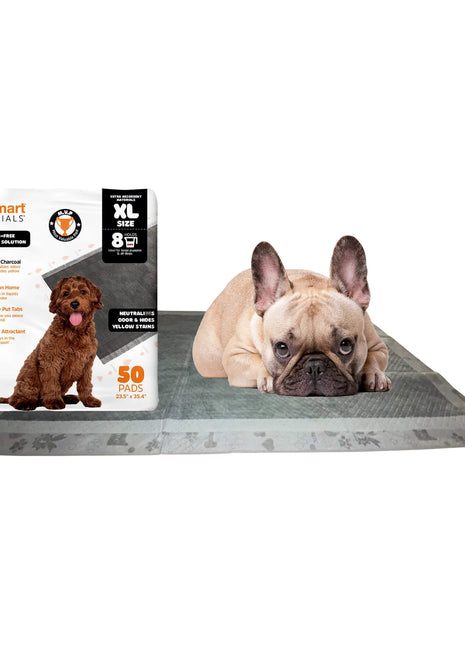 WizSmart Essentials Pads with Charcoal, XL, 50 ct