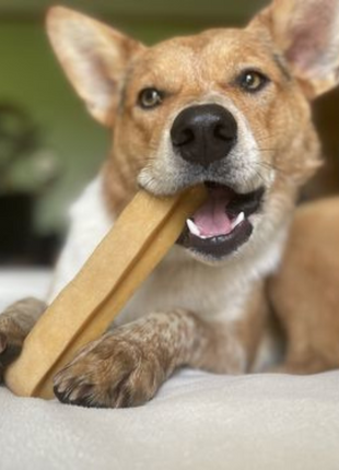Himalayan Yak Chew (EXTRA LARGE)