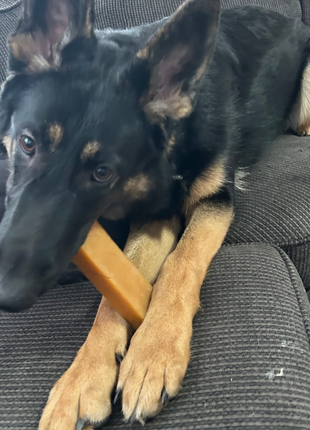 Himalayan Yak Chew (EXTRA LARGE)