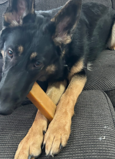 Himalayan Yak Chew (EXTRA LARGE)