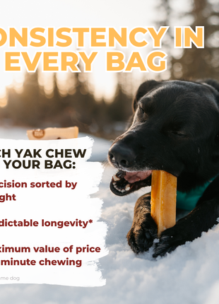 Strawberry Himalayan Yak Chew (MEDIUM)