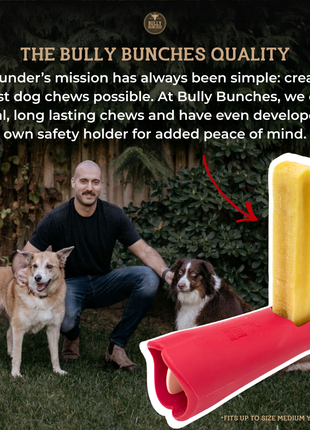 Strawberry Himalayan Yak Chew (MEDIUM)