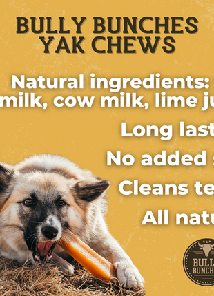 Himalayan Yak Chew (EXTRA LARGE)