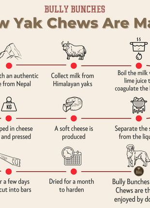 Himalayan Yak Chew Flavor Pack