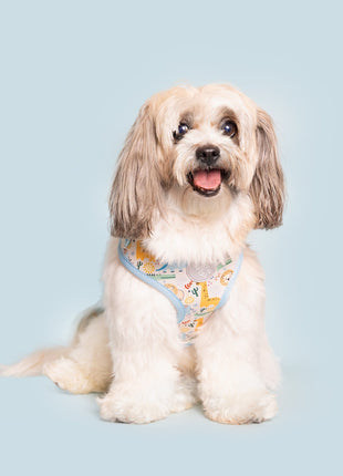 Boho Baby Adjustable Harness - Pup List