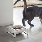 Single Pet Food Bowl - Steel + Ceramic
