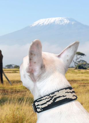 Zebra Sambboho dog collar (animal print collection)