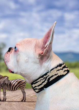 Zebra Sambboho dog collar (animal print collection)